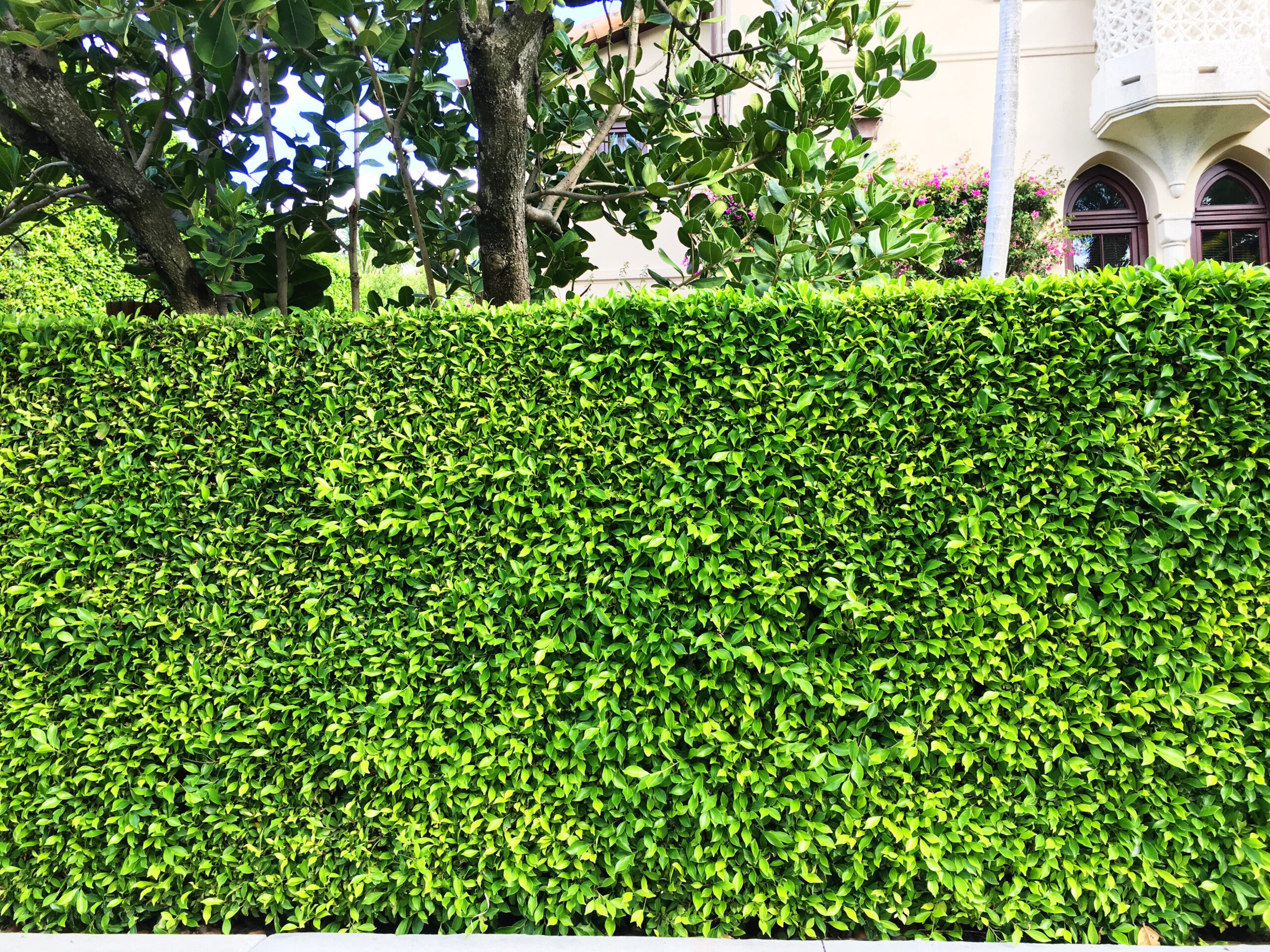 Processed with VSCO with s3 preset